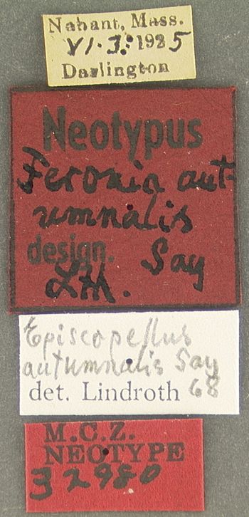 Media type: image;   Entomology 32980 Aspect: labels